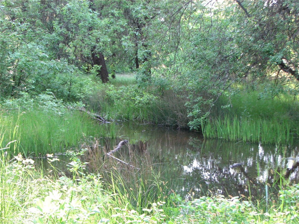 10545 Bachelor Valley Road Upper Lake, CA 95493 - Photo 2 of 5 a view of a lake view with a garden