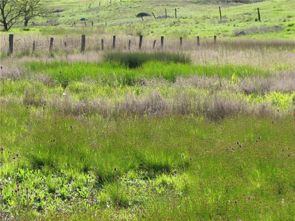 10545 Bachelor Valley Road Upper Lake, CA 95493 - Photo 3 of 5 a view of lake with outdoor space