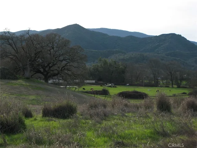 a view of a back yard