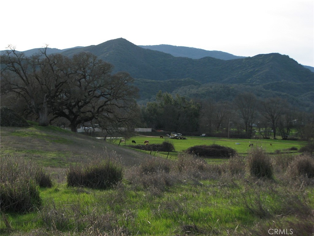 10545 Bachelor Valley Road Upper Lake, CA 95493 - Photo 5 of 5 a view of a back yard