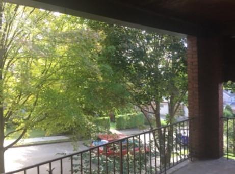 2225 Hampton Street Pittsburgh, PA 15218 - Photo 3 of 20 a view of a yard