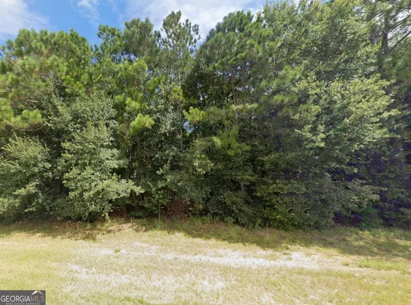 a view of a small yard