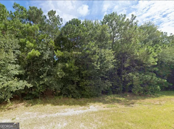 a view of a yard with an outdoor space