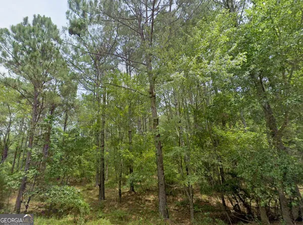 a view of a forest with a tree