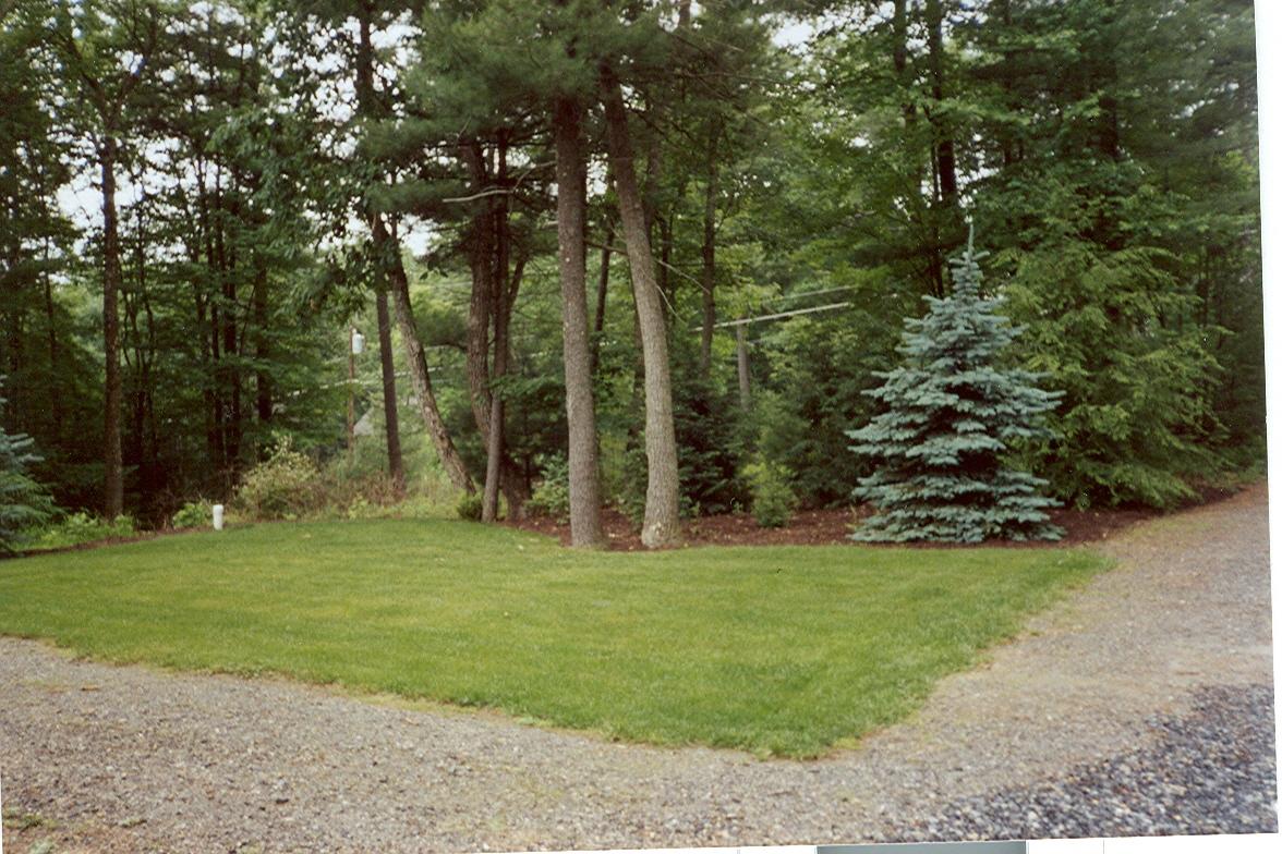 30 Ralph Samuel Boulevard Kunkletown, PA 18058 - Photo 7 of 8 yard
