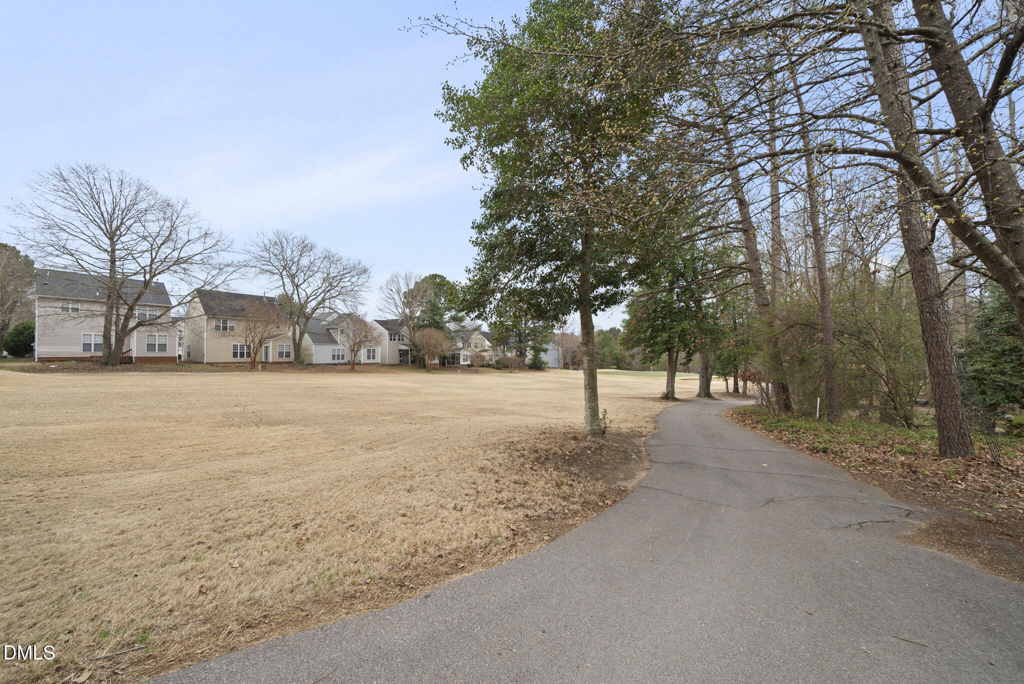 1944 Talamore Court Raleigh, NC 27604 - Photo 28 of 30 a view of dirt yard with a tree