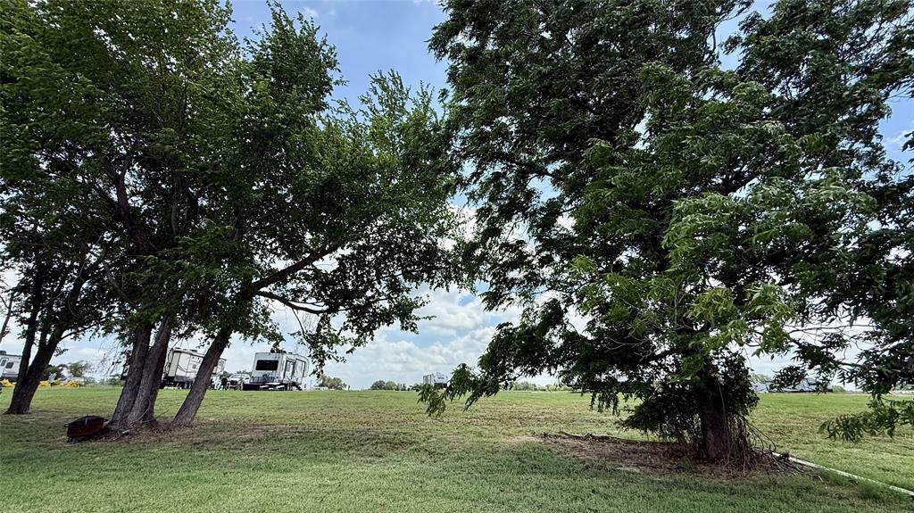 5136 Peninsula Road Kerens, TX 75144 - Photo 13 of 40 Tree-covered lakefront area perfect for a hammock.