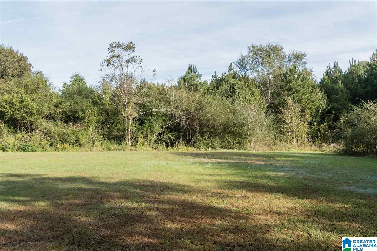 425 Mcgowan Road Wilsonville, AL 35186 - Photo 48 of 50 Gallery Image 48