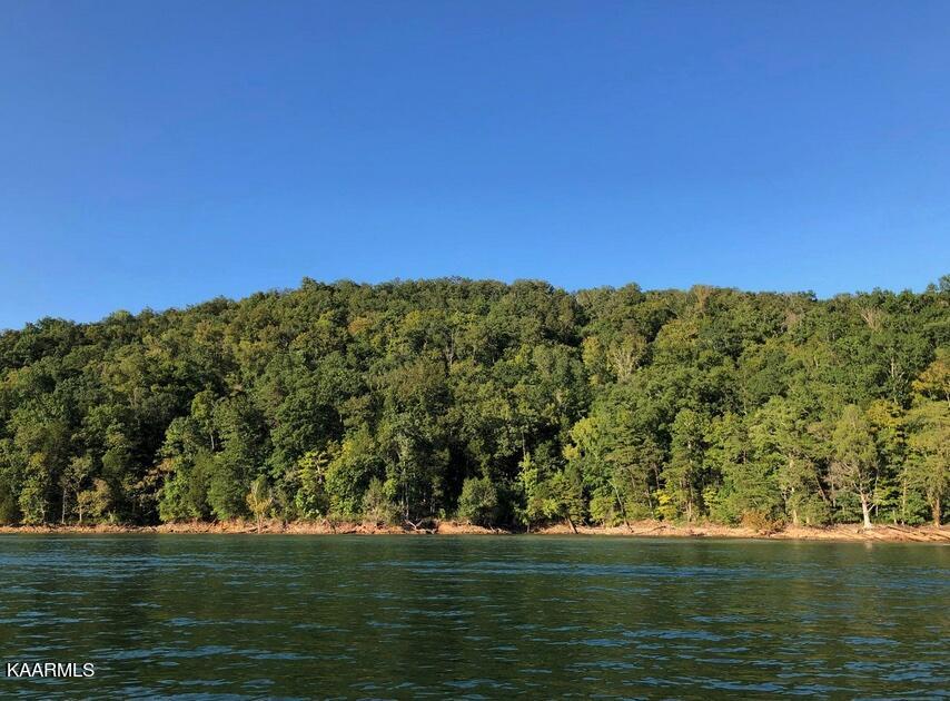 Lot 784 Russell Br Road Sharps Chapel, TN 37866 - Photo 14 of 31 L#784 Norris Lakefront, Sunset Bay