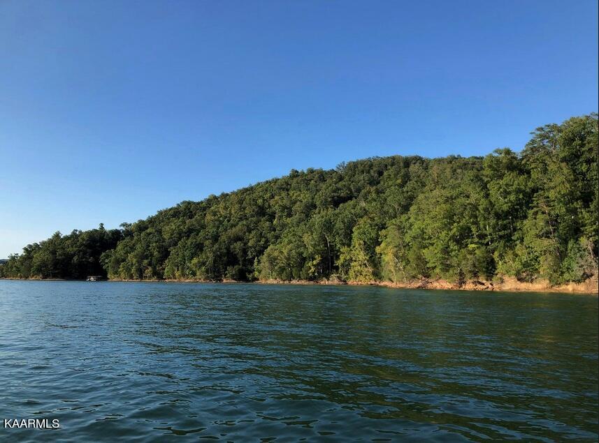 Lot 784 Russell Br Road Sharps Chapel, TN 37866 - Photo 15 of 31 L#784 Norris Lakefront, Sunset Bay