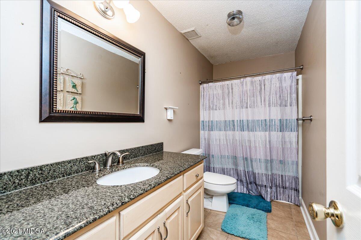 2696 Lower Hartley Bridge Road Byron, GA 31008 - Photo 17 of 24 a bathroom with a granite countertop sink a toilet a mirror and shower curtain