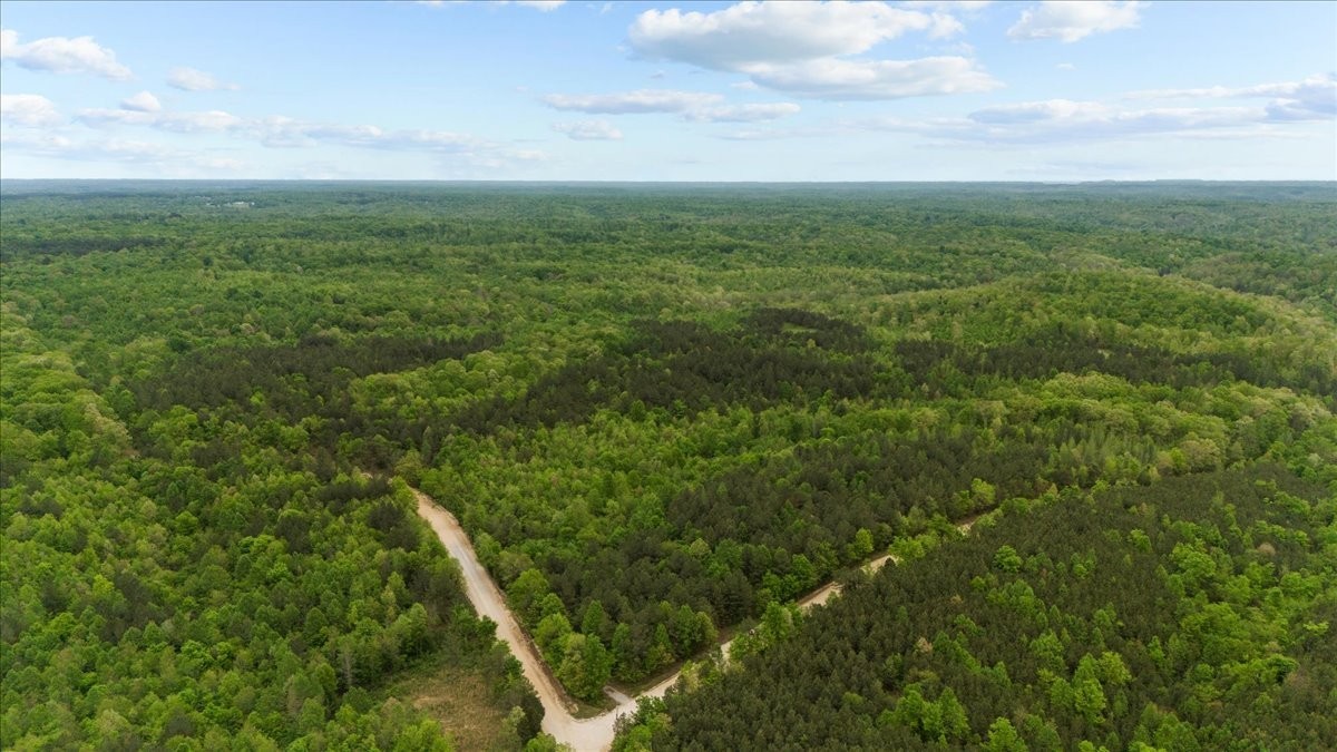 0 Sykes Branch Road Waverly, TN 37185 - Photo 12 of 40 a view of a green field with lots of bushes
