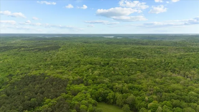 a view of a field with an ocean and trees