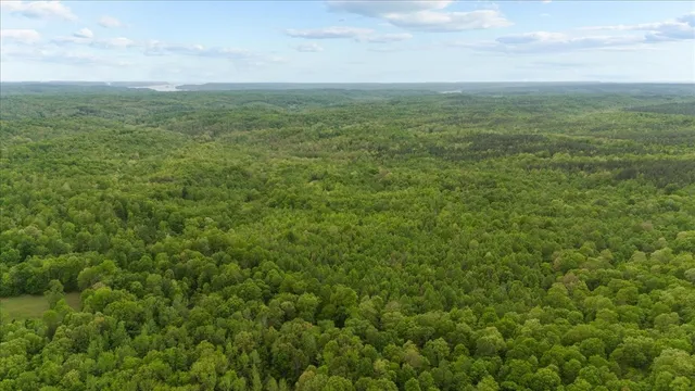 a view of a field with an ocean