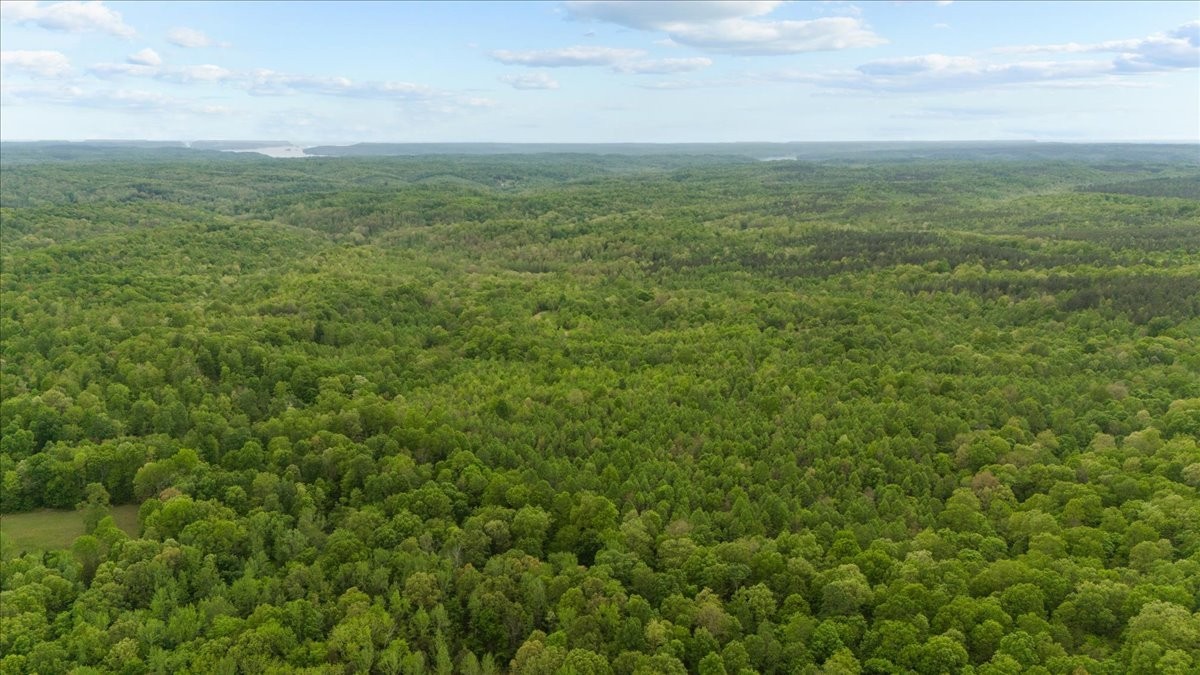 0 Sykes Branch Road Waverly, TN 37185 - Photo 14 of 40 a view of a field with an ocean