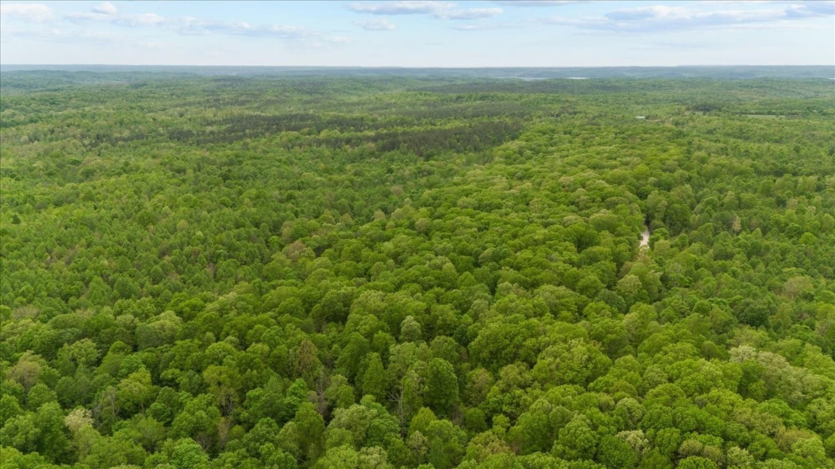 0 Sykes Branch Road Waverly, TN 37185 - Photo 15 of 40 a view of a field with an ocean
