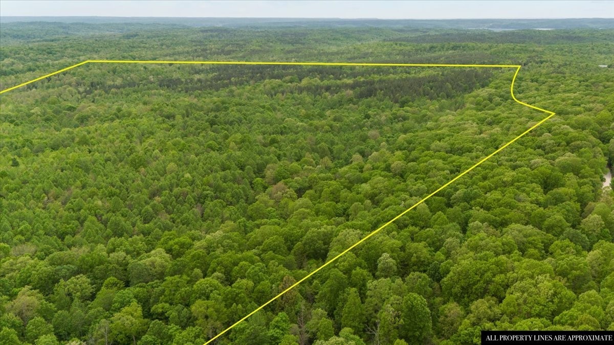 0 Sykes Branch Road Waverly, TN 37185 - Photo 16 of 40 a view of a field with an outdoor space