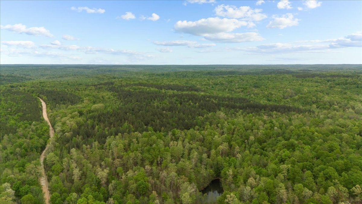 0 Sykes Branch Road Waverly, TN 37185 - Photo 17 of 40 a view of a field with an ocean