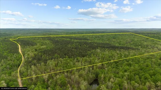 a view of a yard and basketball court