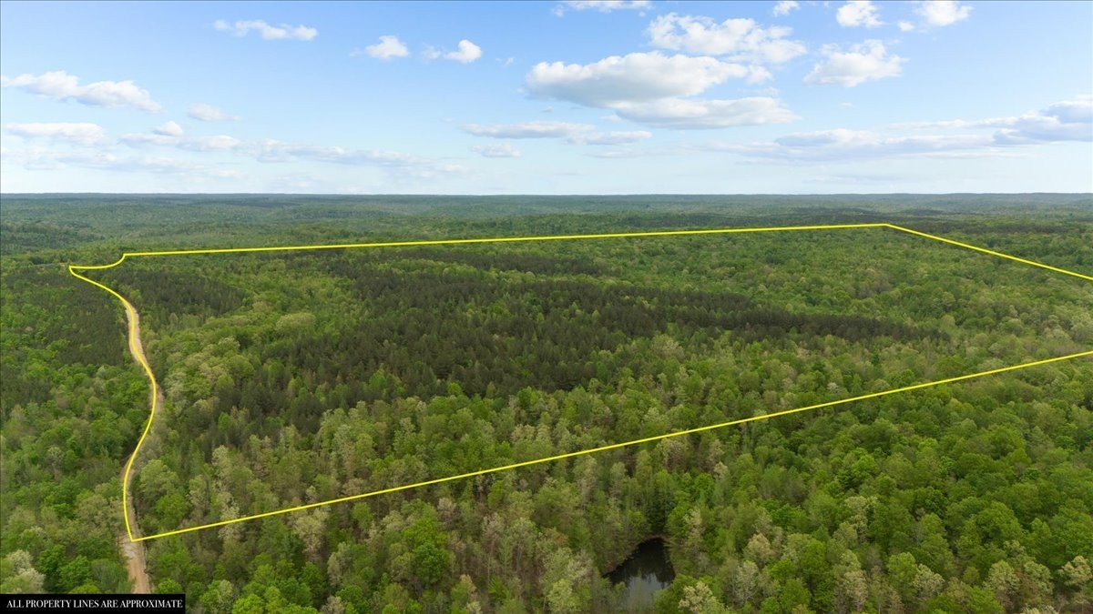 0 Sykes Branch Road Waverly, TN 37185 - Photo 18 of 40 a view of a yard and basketball court