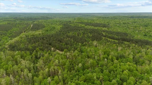 a view of a green field with lots of bushes