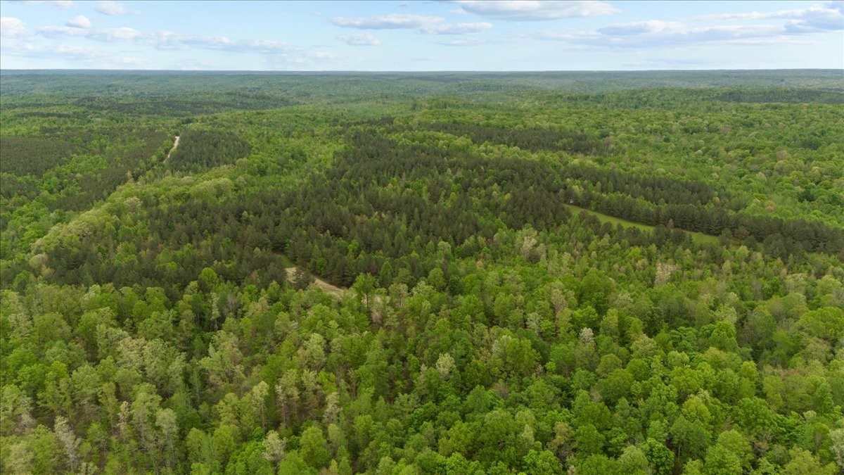 0 Sykes Branch Road Waverly, TN 37185 - Photo 19 of 40 a view of a green field with lots of bushes