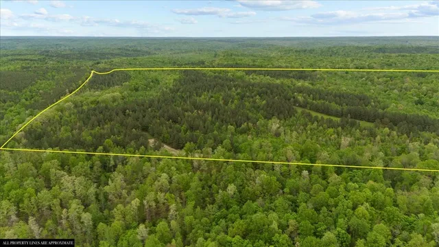 a view of a field with a field