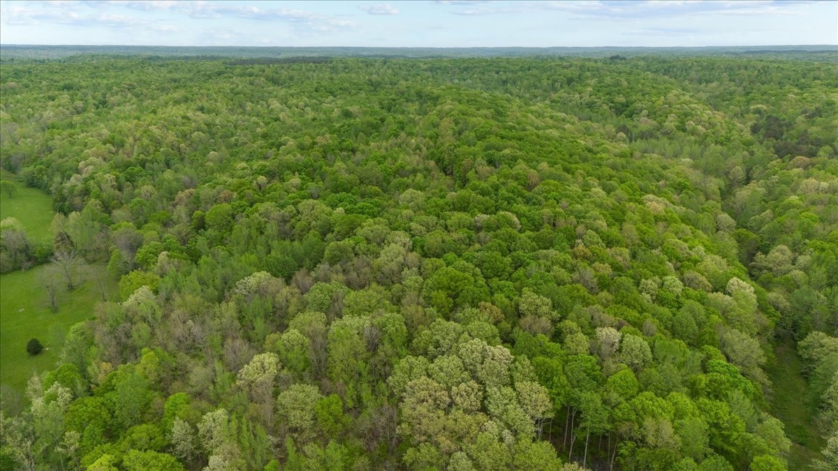 0 Sykes Branch Road Waverly, TN 37185 - Photo 21 of 40 a view of a field with an outdoor space