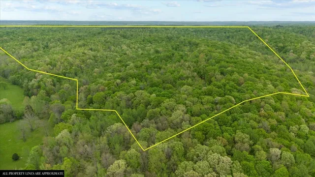 a view of a field with a field