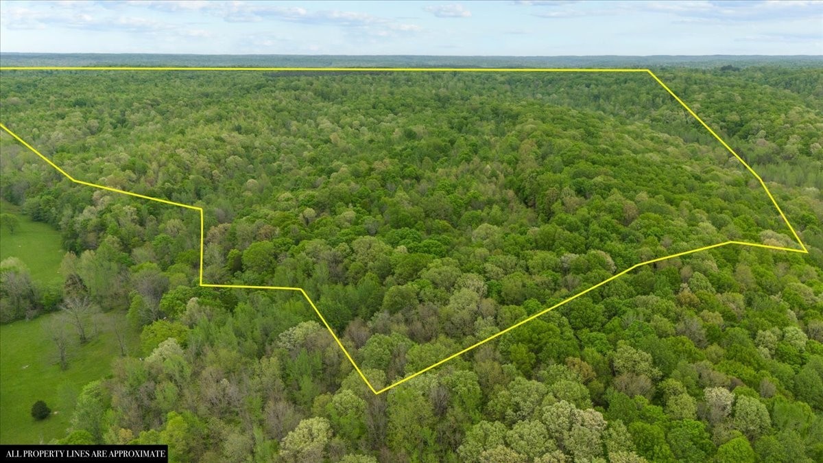 0 Sykes Branch Road Waverly, TN 37185 - Photo 22 of 40 a view of a field with a field