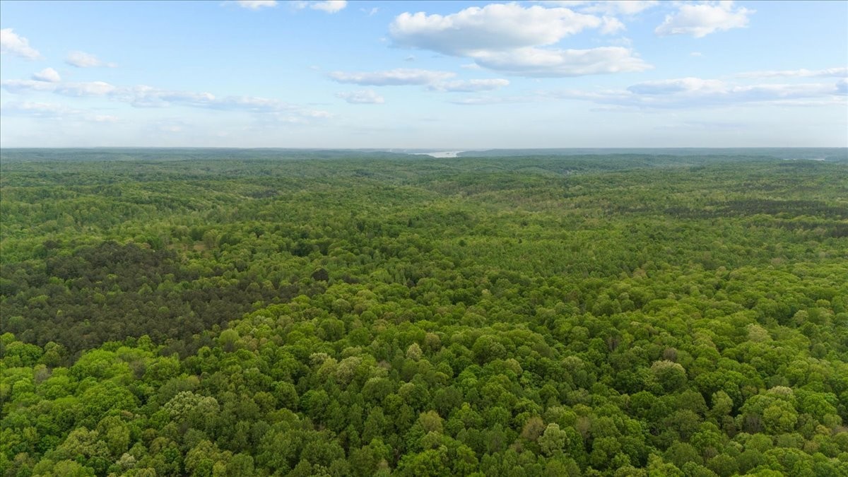 0 Sykes Branch Road Waverly, TN 37185 - Photo 23 of 40 an aerial view of residential houses with outdoor space