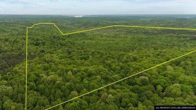 a view of a tennis court