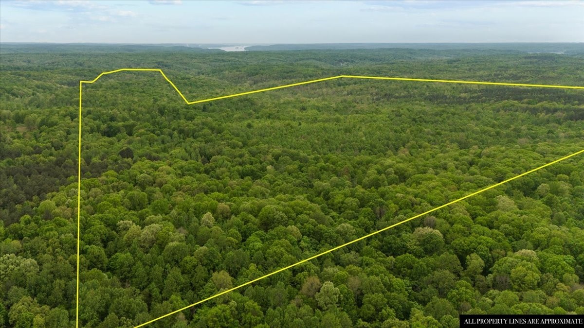 0 Sykes Branch Road Waverly, TN 37185 - Photo 24 of 40 a view of a tennis court