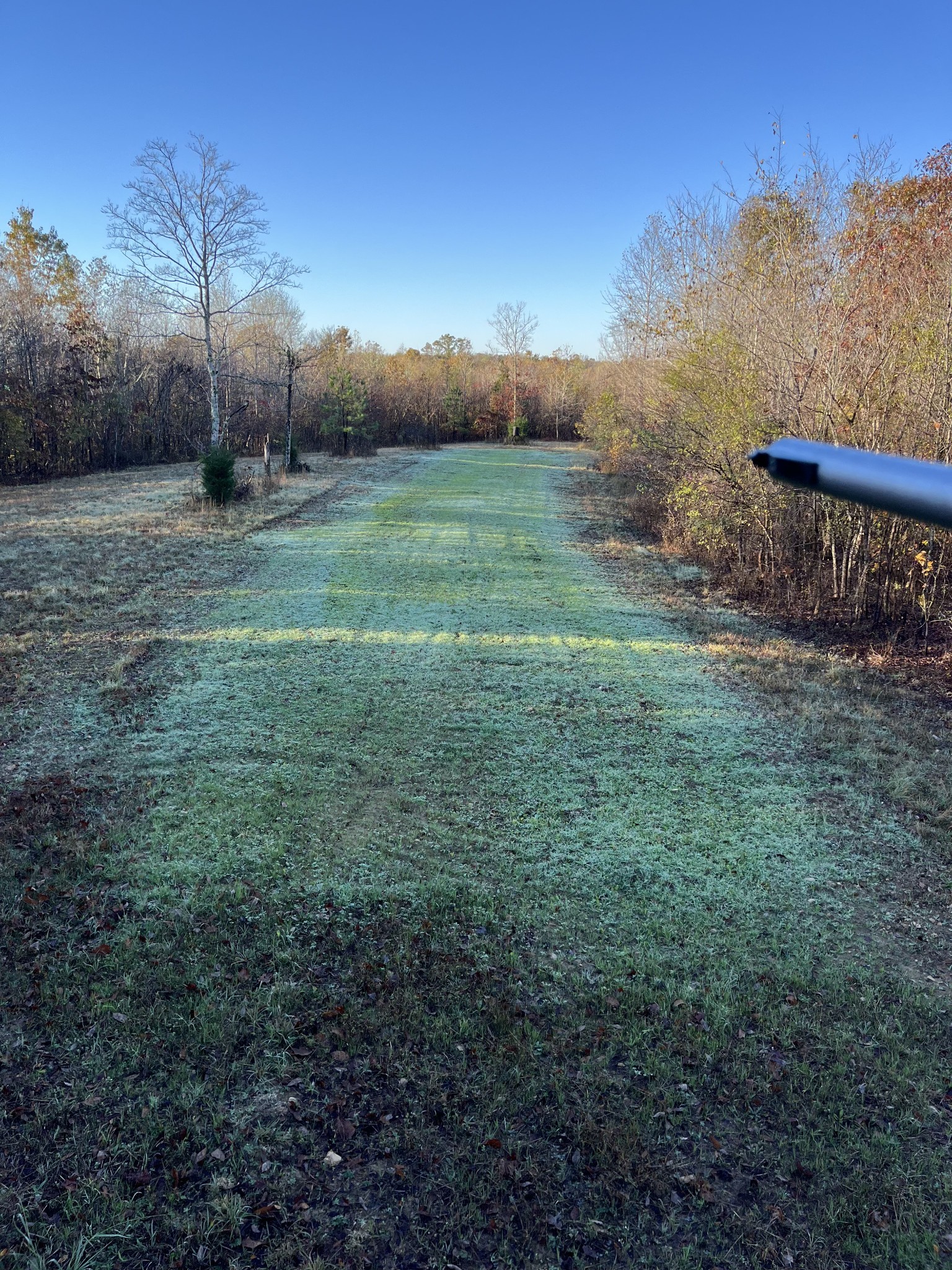 0 Sykes Branch Road Waverly, TN 37185 - Photo 25 of 40 a view of a green filed