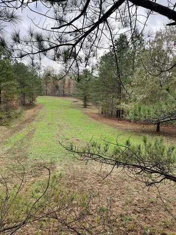 a view of a yard with an outdoor space