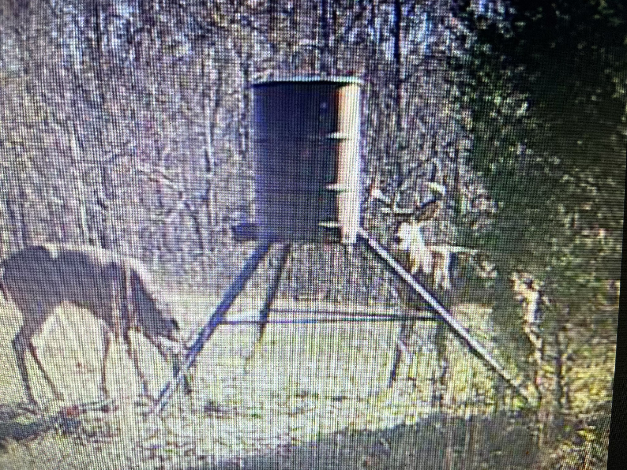 0 Sykes Branch Road Waverly, TN 37185 - Photo 30 of 40