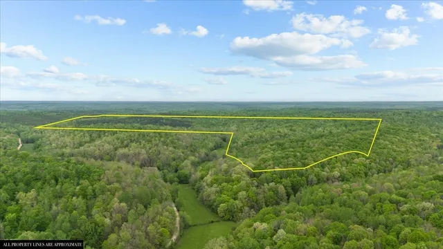 a view of a field with clear sky