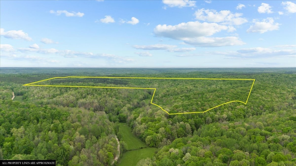 0 Sykes Branch Road Waverly, TN 37185 - Photo 3 of 40 a view of a field with clear sky