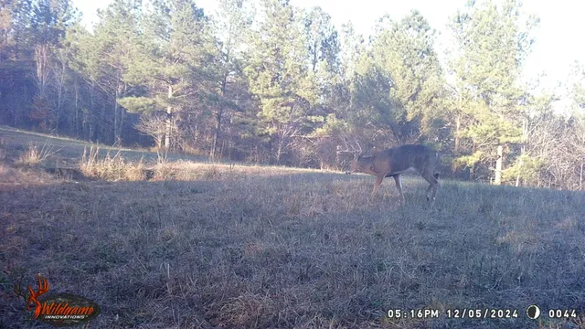 a view of an outdoor space and a yard
