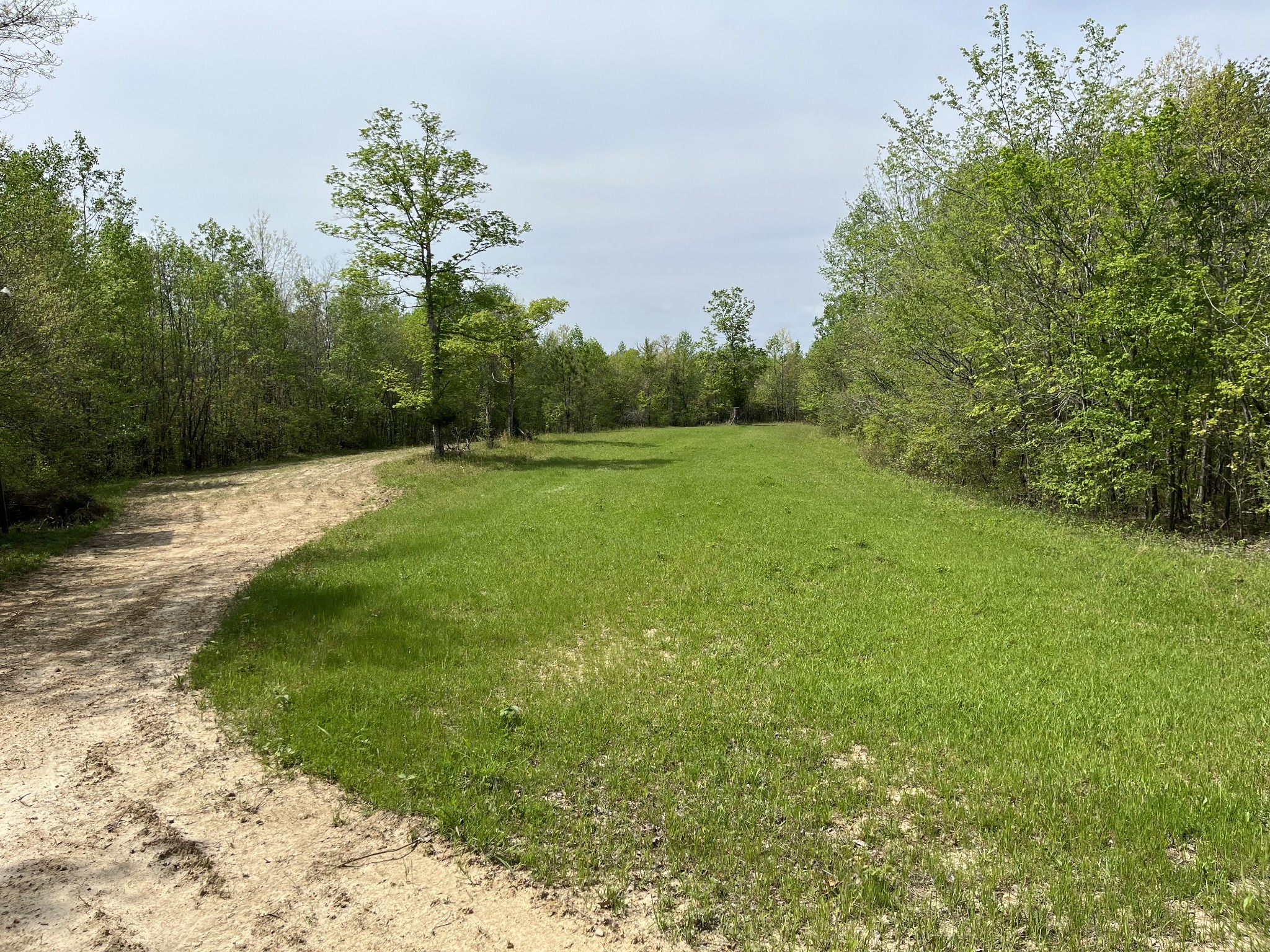 0 Sykes Branch Road Waverly, TN 37185 - Photo 32 of 40 a view of an outdoor space and a yard