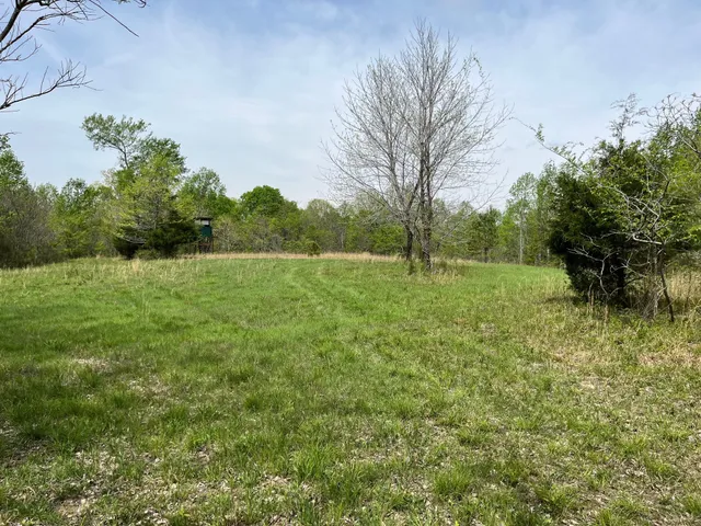 a view of outdoor space with trees