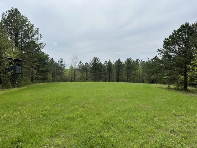a view of field with trees in the background