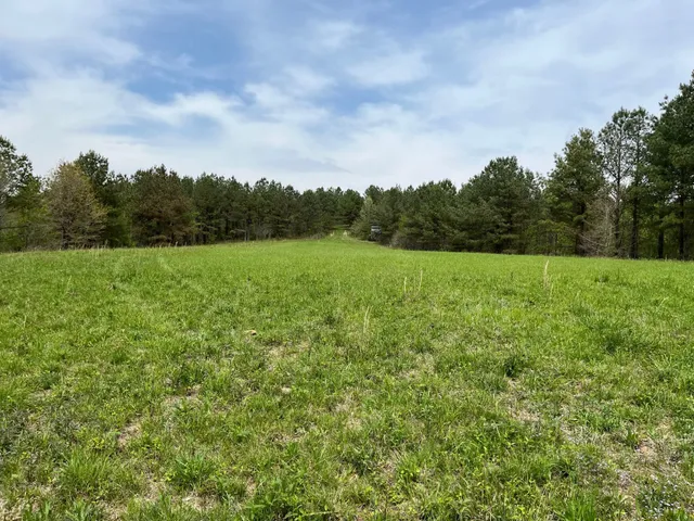 a view of outdoor space with green field and trees