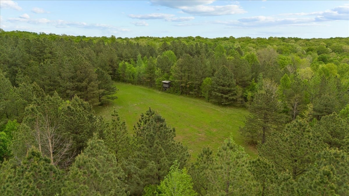 0 Sykes Branch Road Waverly, TN 37185 - Photo 4 of 40 a view of a city with lush green forest