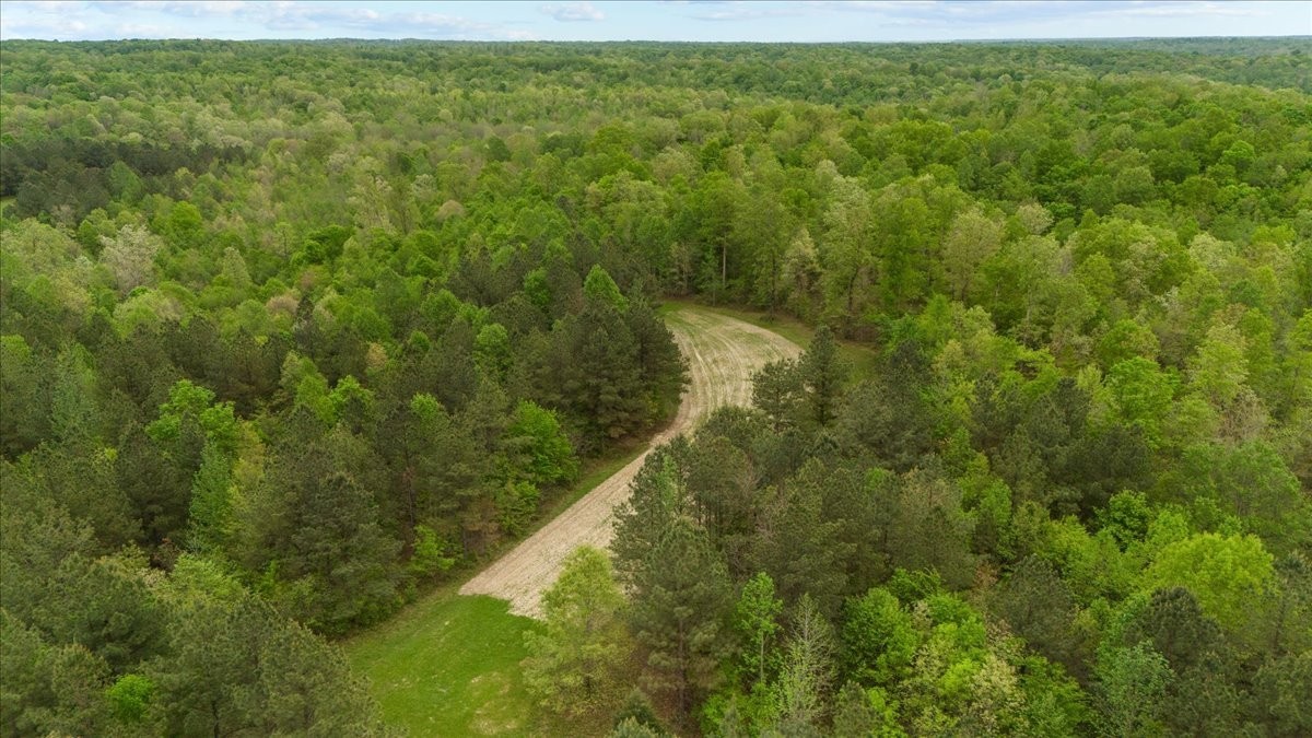 0 Sykes Branch Road Waverly, TN 37185 - Photo 5 of 40 a view of a yard with an outdoor space