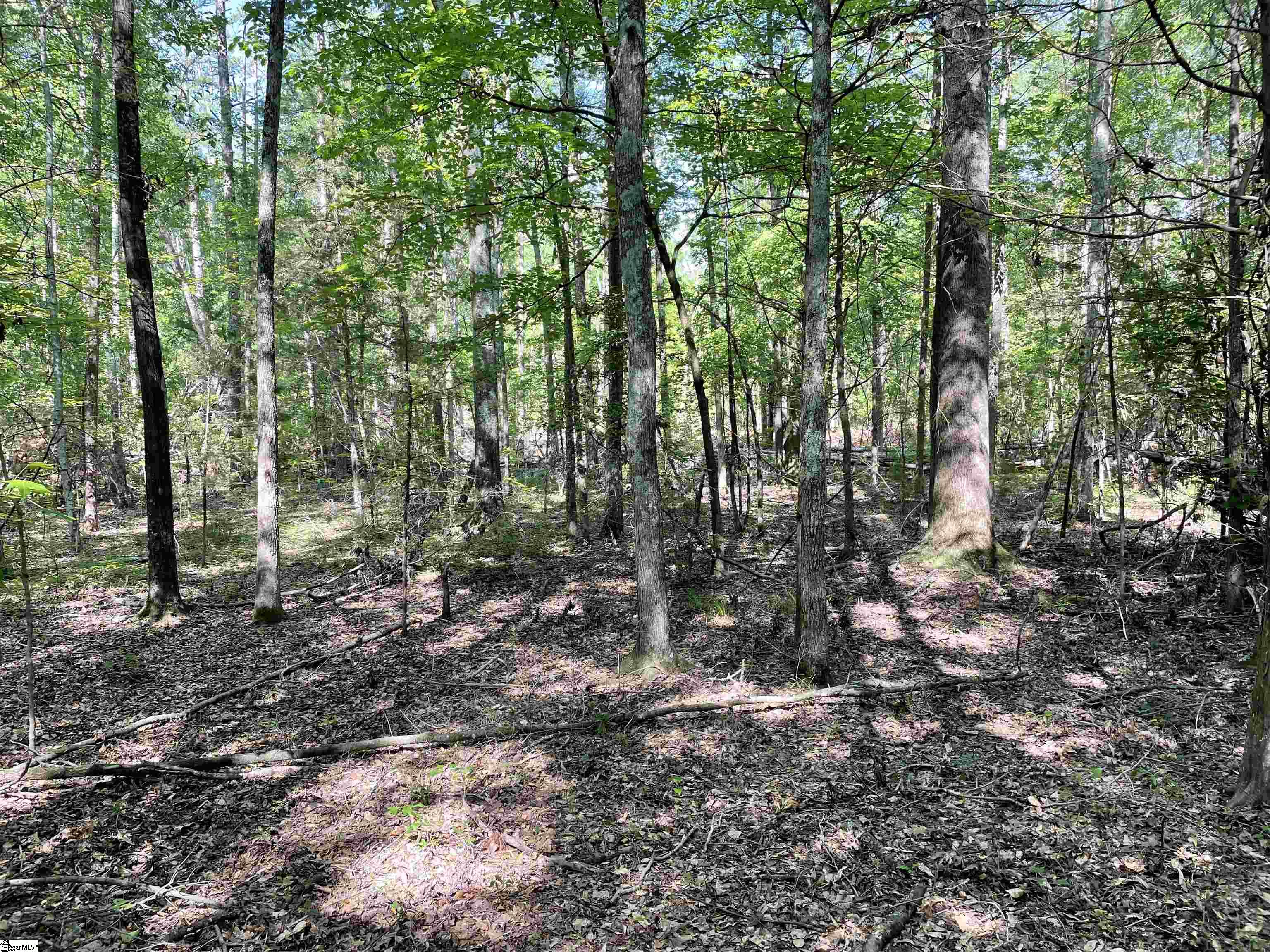 0 Clatworthy Road, Unit LOT 1 Honea Path, SC 29654 - Photo 11 of 27 Gallery Image 11