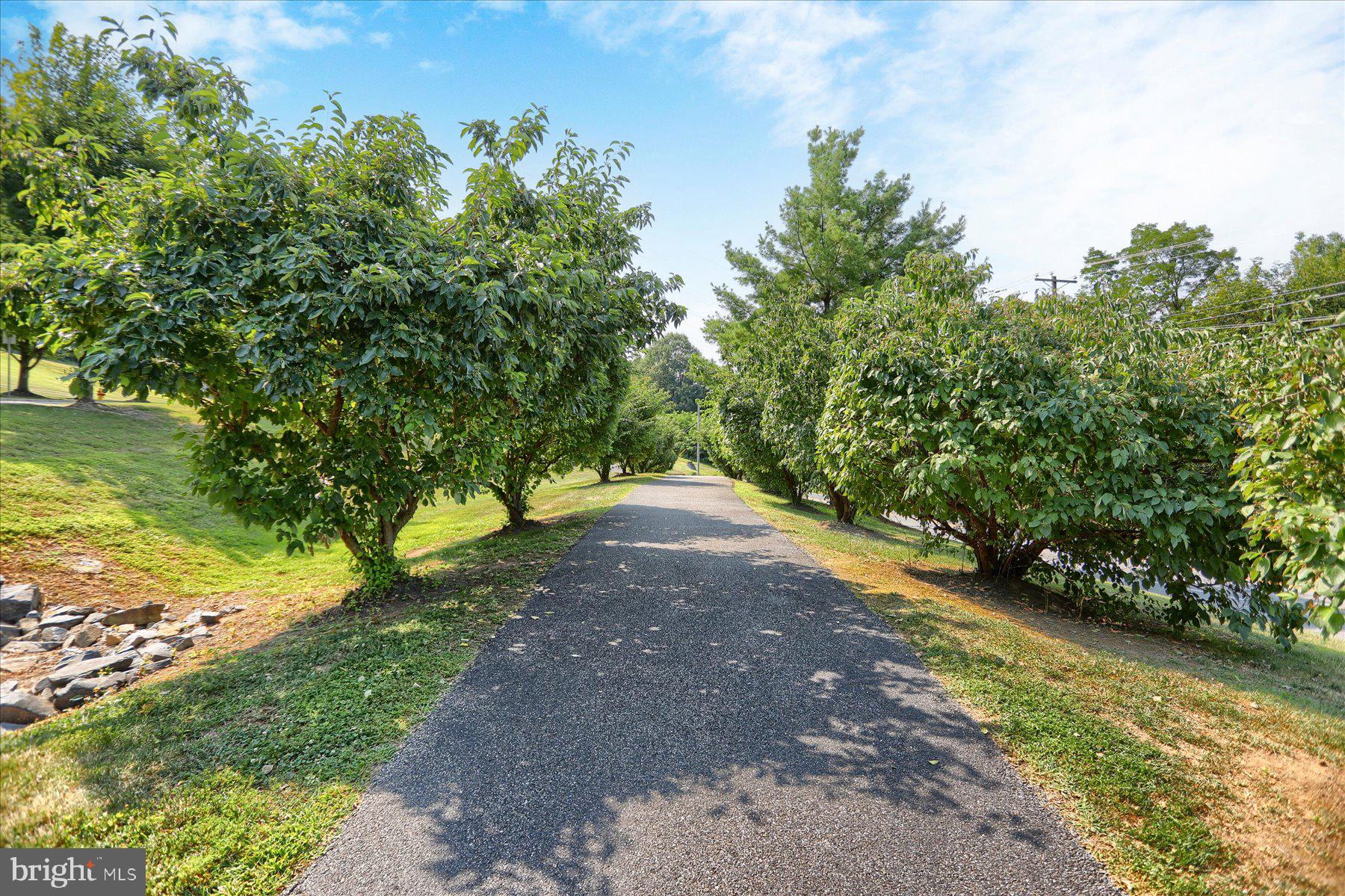 105 Rustic Court Perryville, MD 21903 - Photo 45 of 47