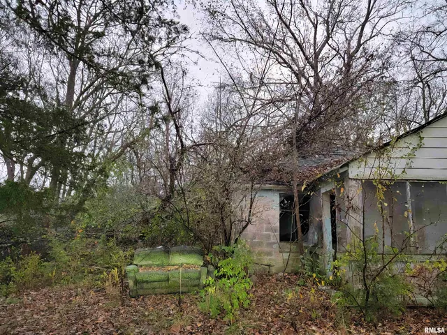 $12,500 | 947 East Cole Street, Du Quoin, IL 62832