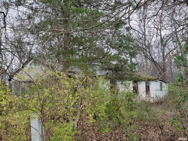 $12,500 | 947 East Cole Street, Du Quoin, IL 62832