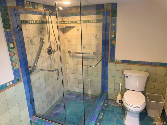a bathroom with a shower and toilet